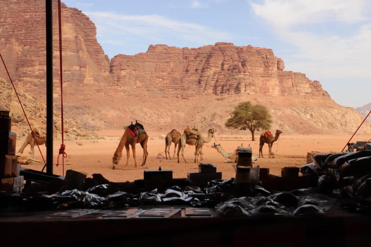 Bedouin desert camp Wadi Rum Extérieur photo